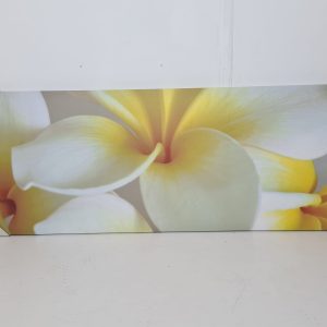 CUADRO LONA (160X60) (FLORES AMARILLAS)